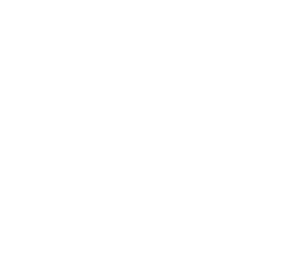 Mountain Ortho